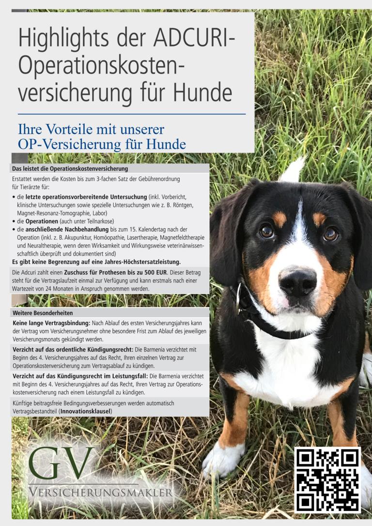<em>Neu</em> Hunde OP Versicherung bei GV Versicherungsmakler