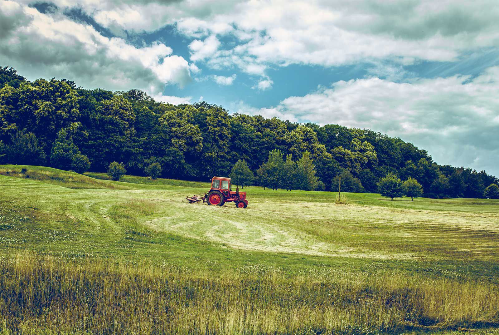 Landwirtschaft